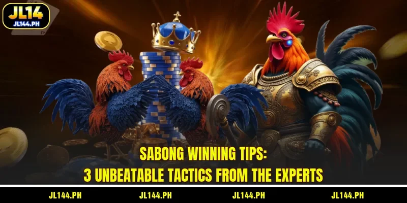 Sabong Winning Tips: 3 Unbeatable Tactics From The Experts