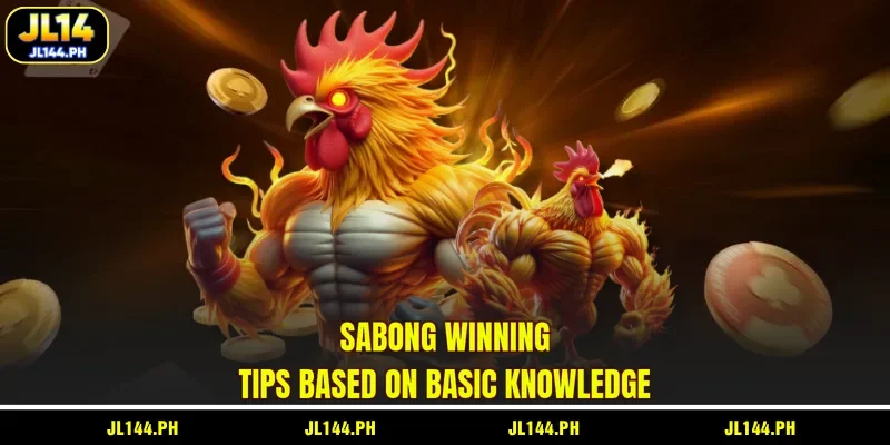 Sabong winning tips based on basic knowledge