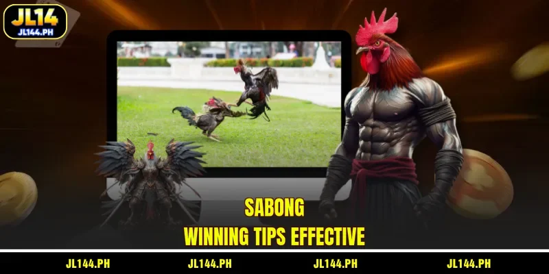 Sabong winning tips effective